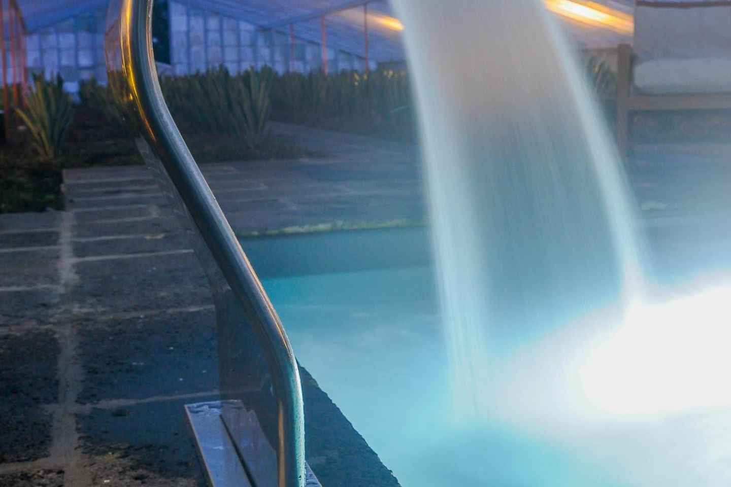 Ponta Delgada: Greenhouse Hot Tube with Pineapple Tour