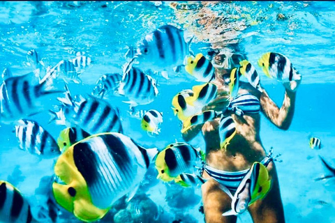 Aventura Exótica a Isla Saona: Paraíso en la Piscina Natural