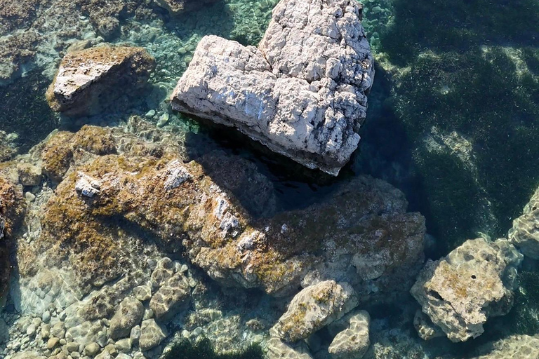 Golfo Aranci: transparent or traditional kayak, dolphins, and aperitif Sunset Tour in a Traditional Kayak with Aperitivo and Dolphins