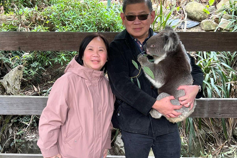 Vanuit Adelaide: Knuffel een Koala en historische Hahndorf Tour