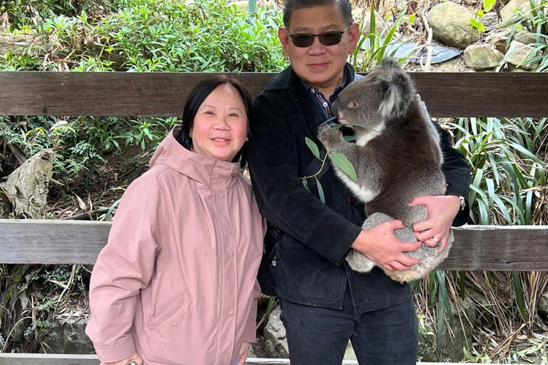 Vanuit Adelaide: Knuffel een Koala en historische Hahndorf Tour