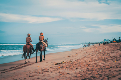 Suva: Coral Coast Horseback Riding Tour with Waterfall