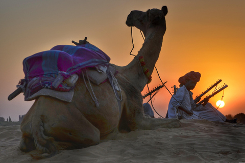 From Djerba: Oasis, Sunset in the Desert Dunes & Dinner in a 4x4 From Djerba: Oasis, sunset in the desert dunes & dinner in a 4x4