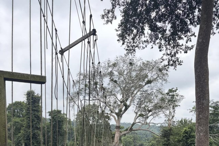 From Accra: Cape Coast and Kakum National Park Day Trip