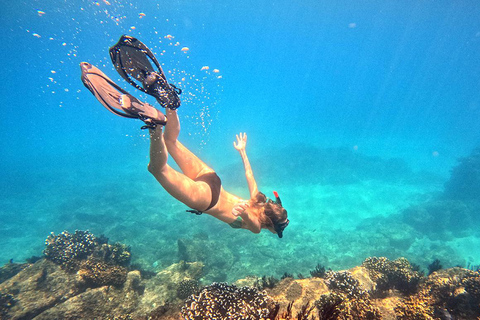 San Jose del Cabo Snorkeling Tour