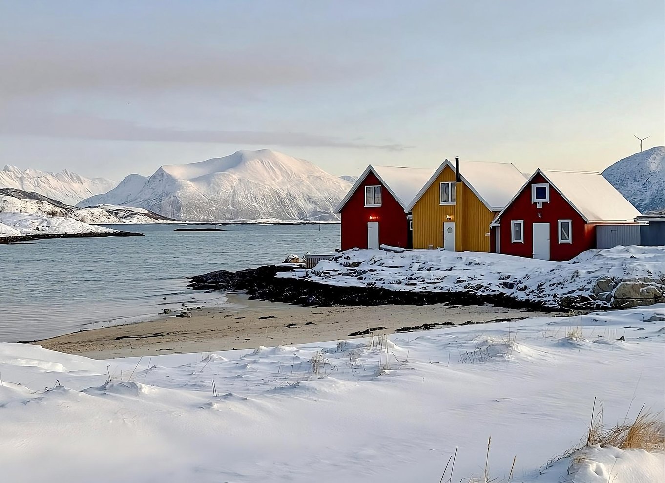 Tromsø: Fjord- og Sommarøy-tur med laksepicnic