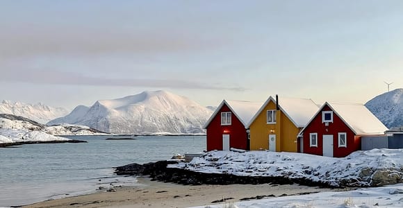 ⭐Tromsø: Sommarøy Fjord Expedition Tour & VIP Salmon Picnic
