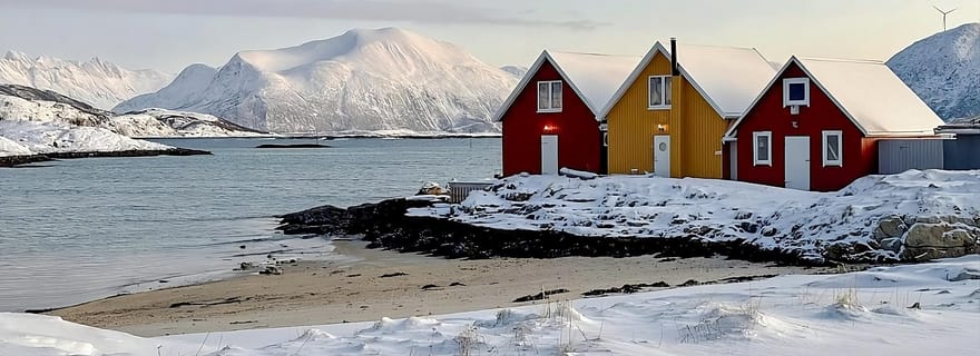 ⭐Tromsø: tour di spedizione nel fiordo di Sommarøy e picnic VIP a base di salmone