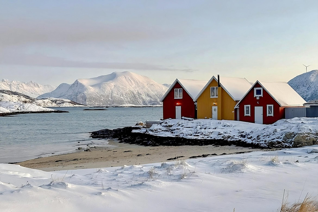 ⭐Tromsø: tour di spedizione nel fiordo di Sommarøy e picnic VIP a base di salmone