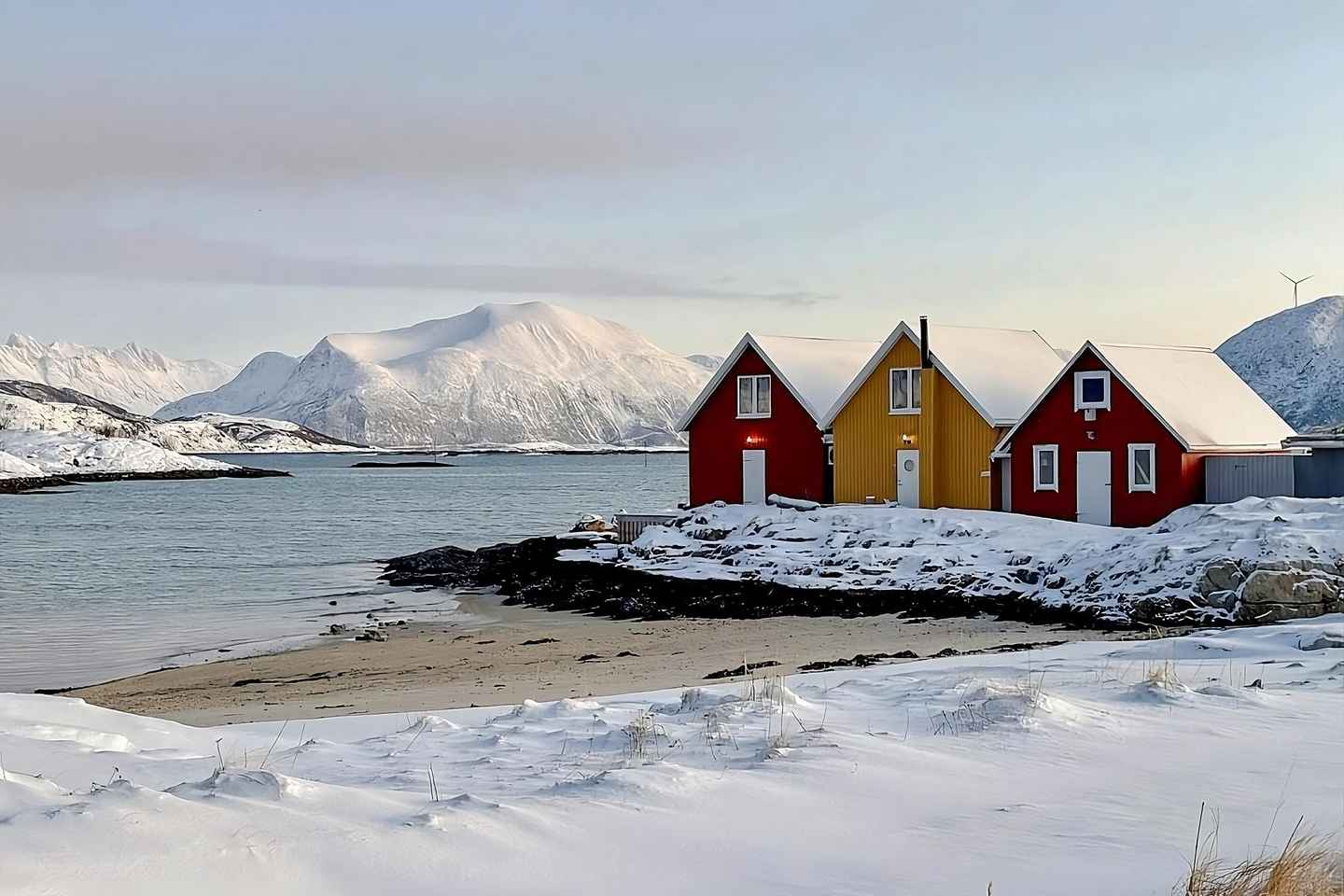 Troms: Sommary Fjord Expedition Tour & Salmon Picnic