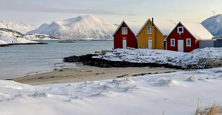 Fjords et îles de Sommarøy, pique-nique au saumon