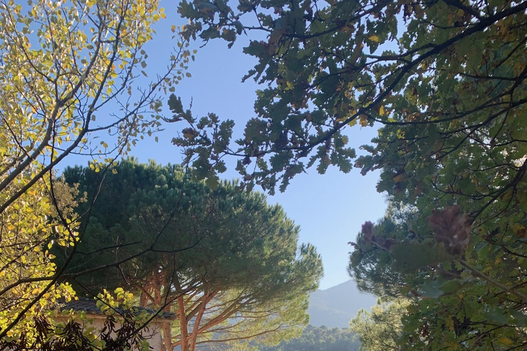 Visit the most beautiful villages of the Luberon in Provence by minibus!