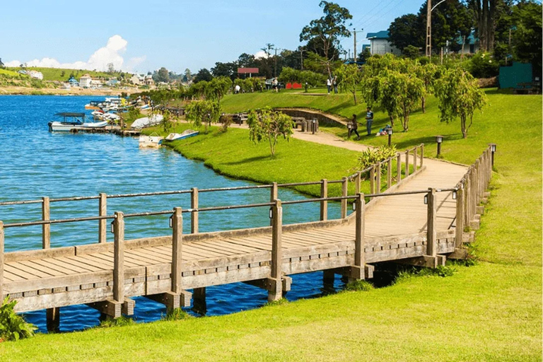Nuwara Eliya → Tissamaharama Transfer with Sightseeing Stops