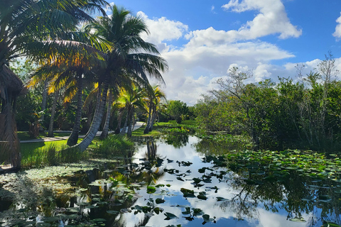 Everglades: tour en barco con transporte y entrada incluidos