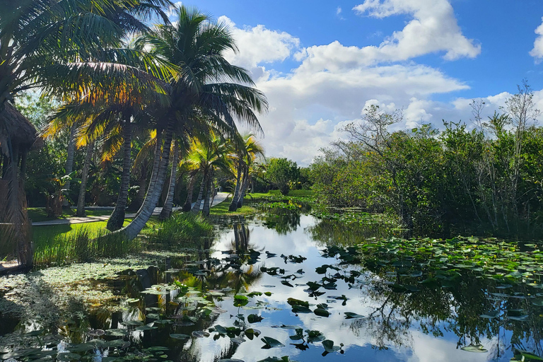 Everglades : tour en bateau avec transport&amp; entrée inclus