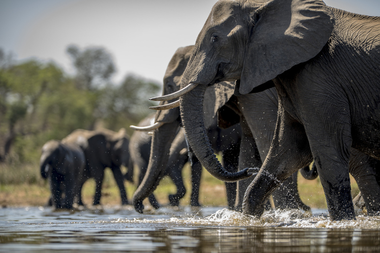 Nairobi National Park