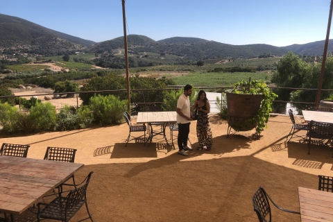 Depuis Ensenada : Dégustation de vin à la vallée de Guadalupe EnsenadaExcursion privée dans la vallée de Guadalupe Vine Yards & Wine Route ENS