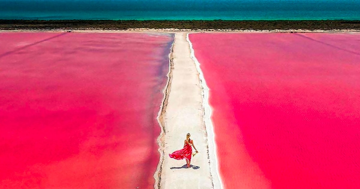 Из Канкуна: однодневная поездка в Рио-Лагартос и Лас-Колорадас с обедом ...