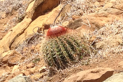 St. Maarten: Guana Bay Coastal Hike