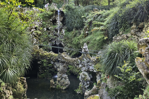 Half-Day Sintra Pena and Regaleira palace with small group Half-Day Sintra Pena and Regaleira Small Group