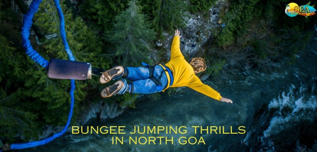 Visit Bungee Jumping in North Goa in Morjim, Goa, India