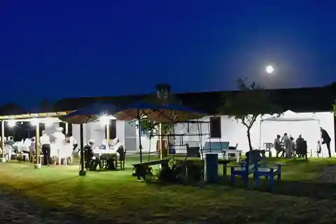 Alghero: Cena nel vigneto con vino