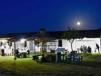Alghero: Dinner in the Vineyard with Wine