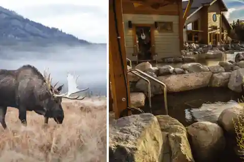 Yukon Wildlife Preserve e Eclipse Nordic Hot Springs