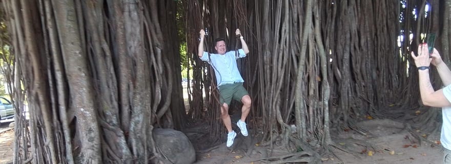 Roseau : Visite de la forêt tropicale, des chutes d'eau et des geysers de Trafalgar.