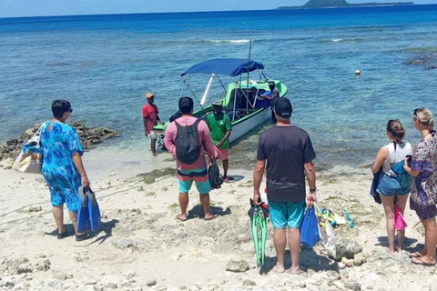 瓦努阿图：海龟与浮潜之旅（含午餐）瓦努阿图：海龟与浮潜之旅，含午餐