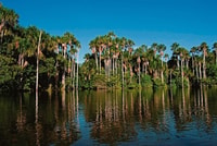 Puerto Maldonado, Sandoval & Parrot Clay Lick 3-Days - Housity