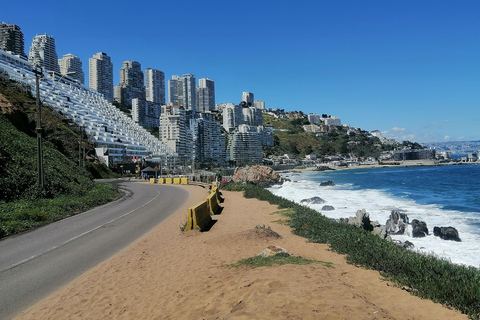 Santiago: Valparaíso and Viña del Mar Private Day Trip