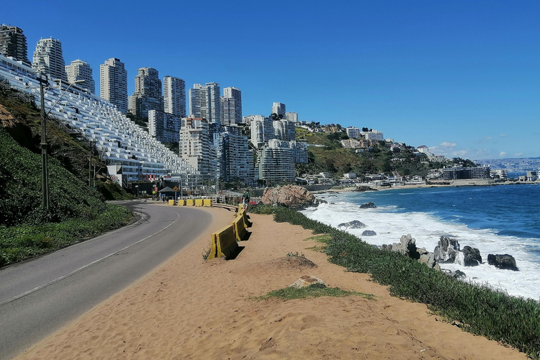 Santiago: Valparaíso and Viña del Mar Private Day Trip
