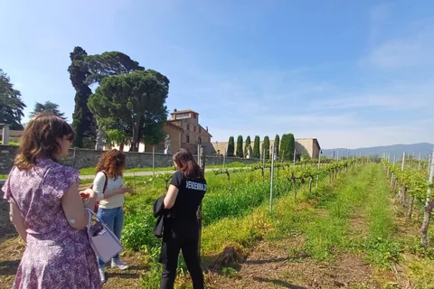 Het Iseomeer & de wijngaarden van Franciacorta. Schilderachtige tour met wijnproeverij
