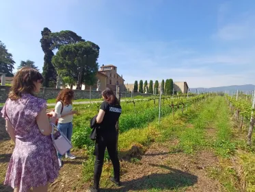 Mailand: Brescia & Franciacorta Geführte Tour mit Weinverkostung