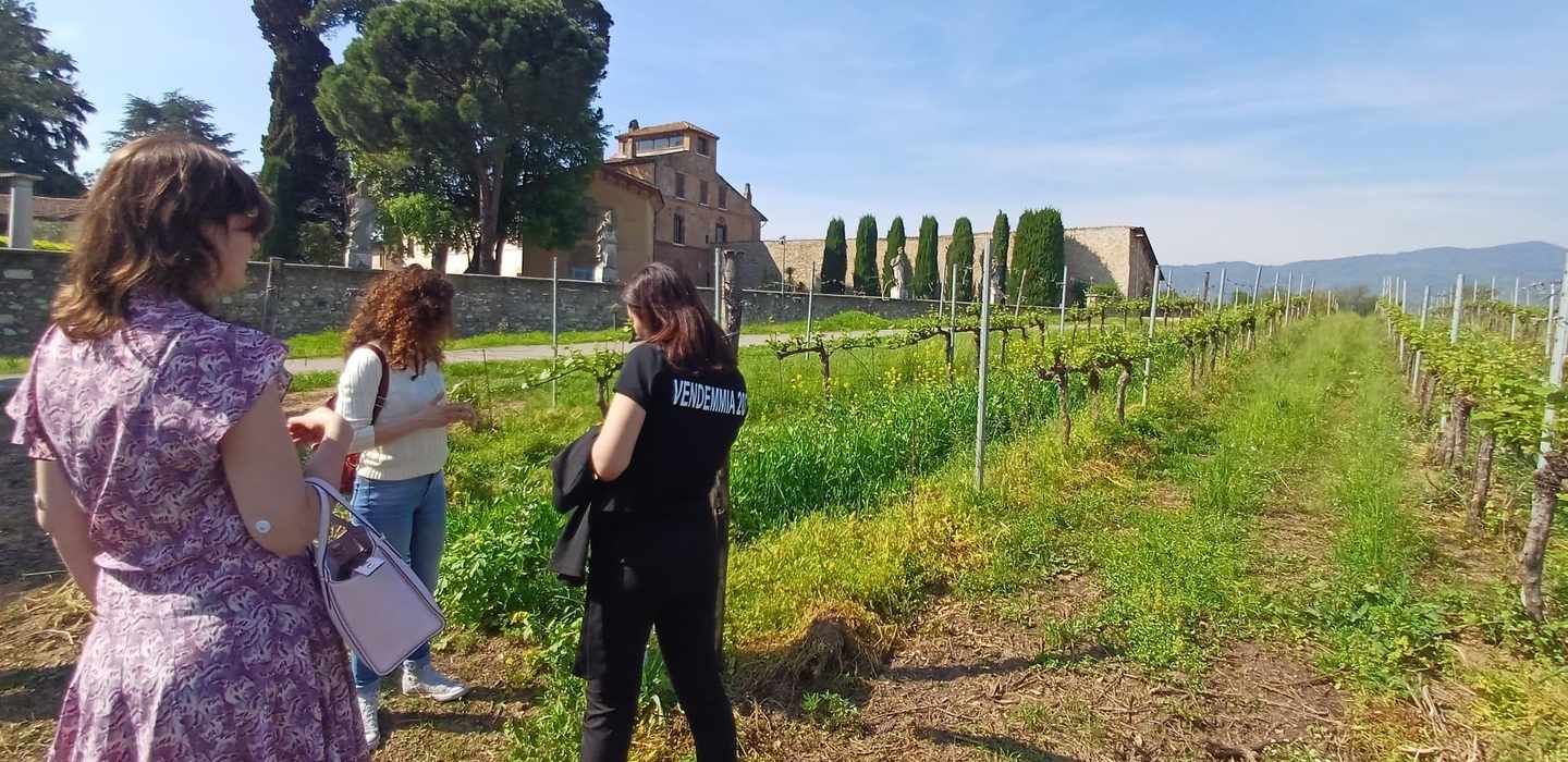 Iseosee & Franciacorta-Weingut. Tour mit malerischen Ausblicken und Weinverkostung