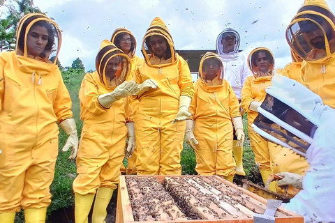 From Medellín: Honey Tour, Visit the Bees