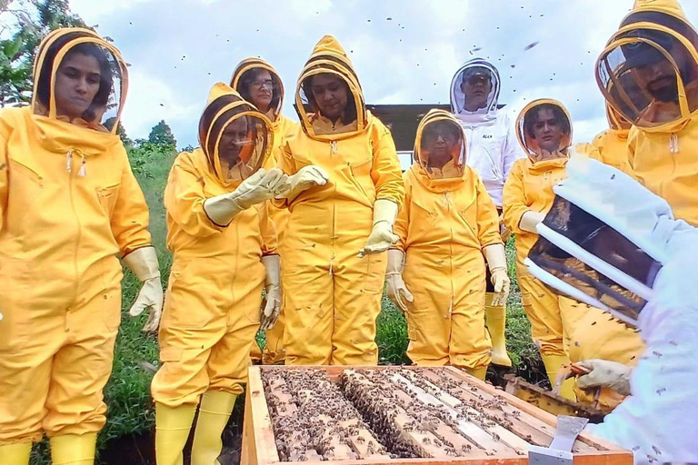 From Medellín: Honey Tour, Visit the Bees
