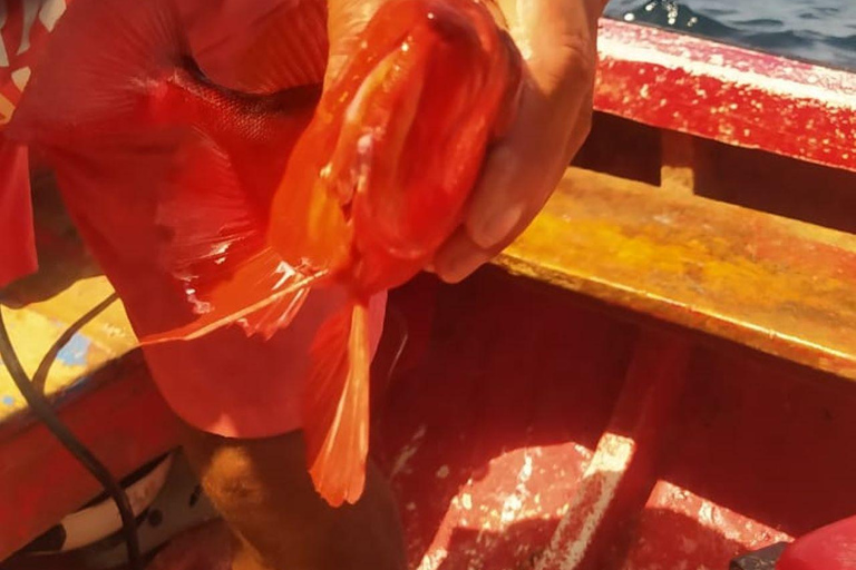 Tour di pesca a São Pedro