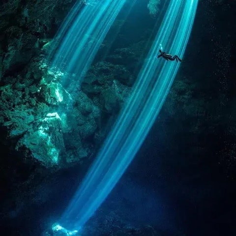 Playa del Carmen: Diving at Cenote Dos Ojos