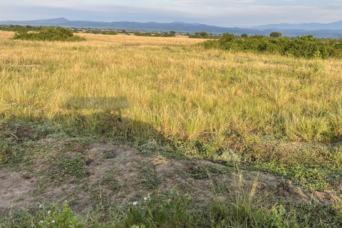 Kasese: 3 Day Queen Elizabeth Classic Safari & Boat Safari