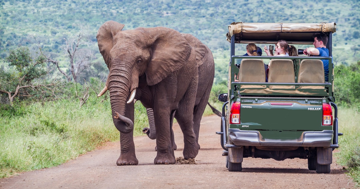 Pilanesberg Wildlife Safari from Johannesburg | GetYourGuide