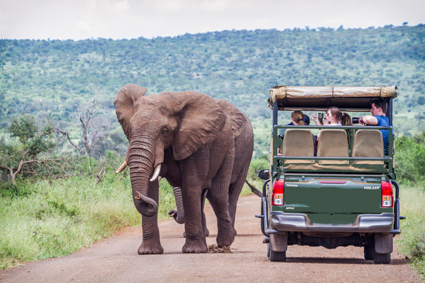 De Joanesburgo: Safari de vida selvagem em Pilanesberg