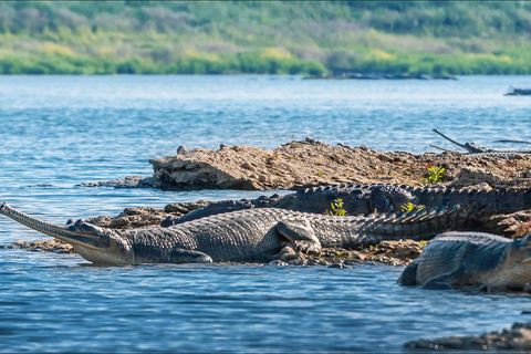 From Agra: Chambal River Safari with Bateshwar Temple Visit