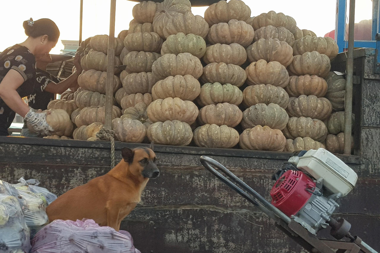 Excursão particular de meio dia - Mercado flutuante de Cái RăngExcursão particular de meio dia - Mercado flutuante de Cai Răng