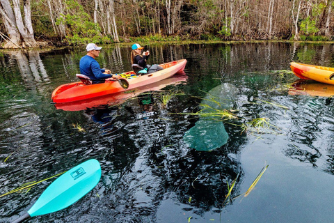 Orlando: Silver Springs Guided Kayak Tour with Shuttle