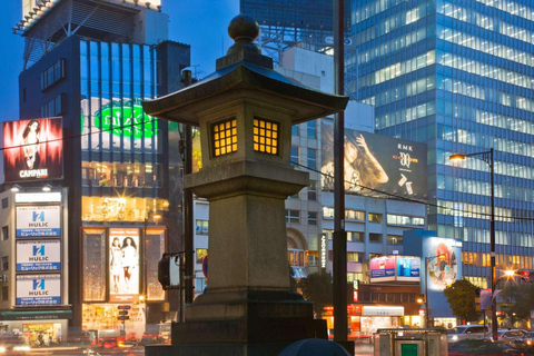 Tokyo: Private Customizable Tour with Driver-Guide