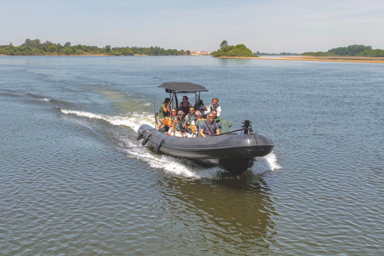 Climbing the River, an experience from Lisbon to Valada