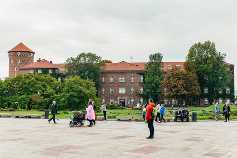 Krakow: Wawel Royal Hill Guided Tour Tour in Polish - Shared