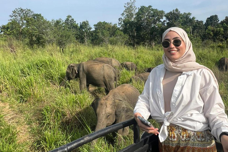 From Kandy: Sigiriya Rock & Minneriya Safari by Luxury Car